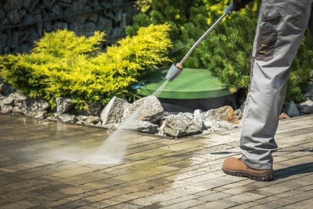 Best Driveway Pressure Washing  in Chadwicks, NY